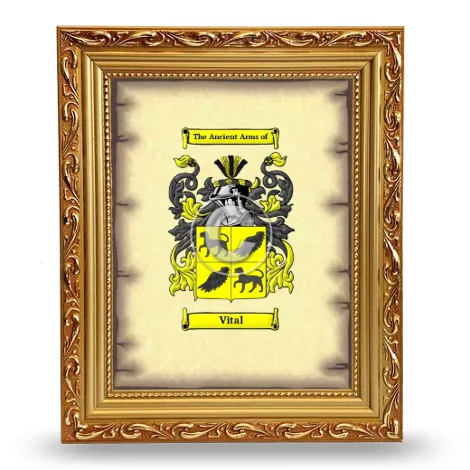 Vital Coat of Arms Framed - Gold