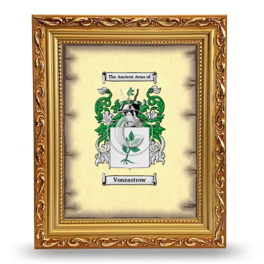 Vonzastrow Coat of Arms Framed - Gold