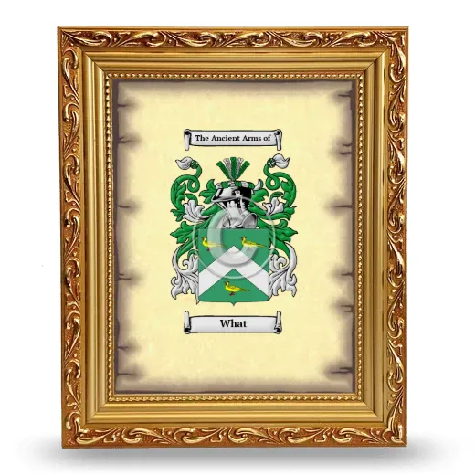 What Coat of Arms Framed - Gold