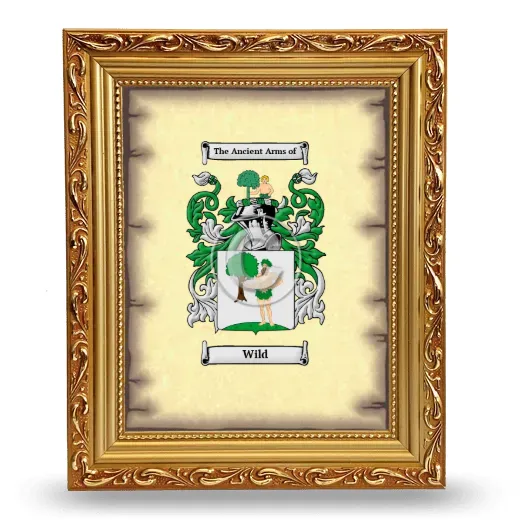 Wild Coat of Arms Framed - Gold