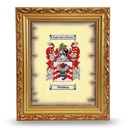 Windrop Coat of Arms Framed - Gold