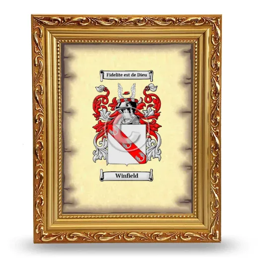 Winfield Coat of Arms Framed - Gold