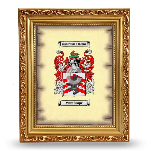 Winthrope Coat of Arms Framed - Gold