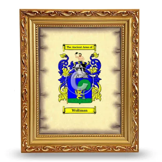 Woltman Coat of Arms Framed - Gold
