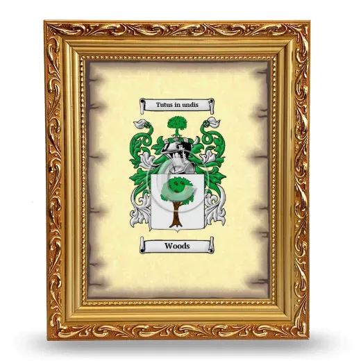 Woods Coat of Arms Framed - Gold