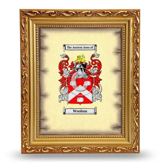 Woolum Coat of Arms Framed - Gold