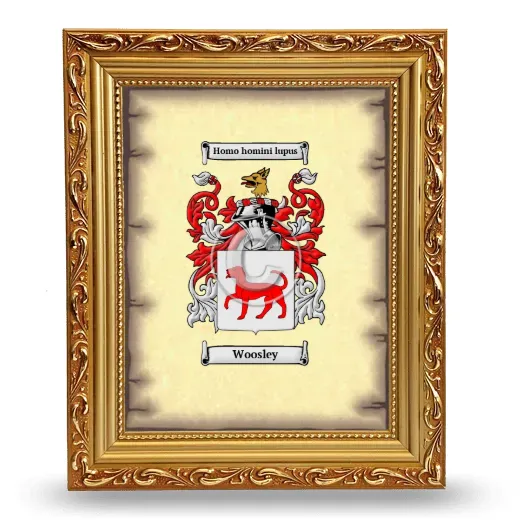 Woosley Coat of Arms Framed - Gold