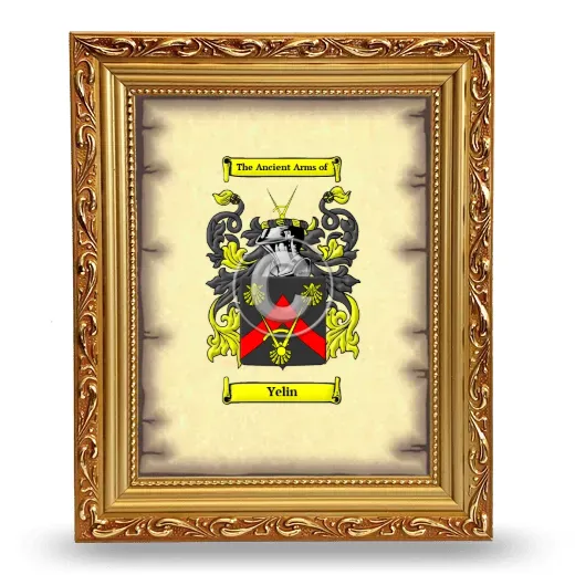 Yelin Coat of Arms Framed - Gold