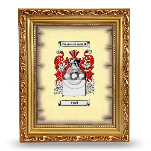 Yriel Coat of Arms Framed - Gold