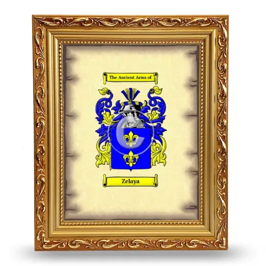 Zelaya Coat of Arms Framed - Gold