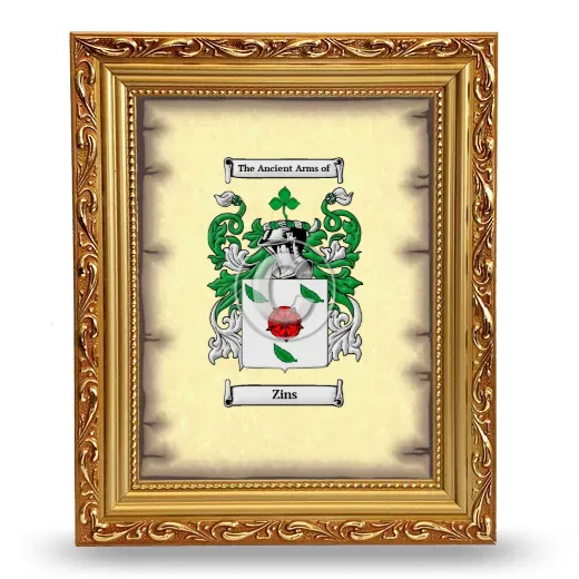 Zins Coat of Arms Framed - Gold