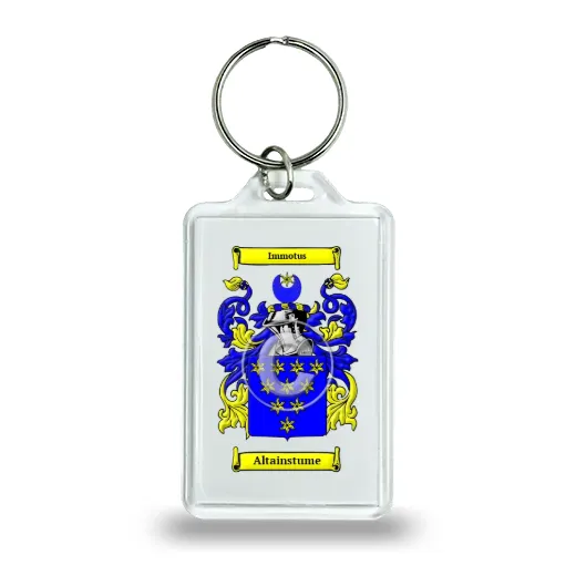 Altainstume Keychain