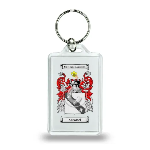 Antwisel Keychain