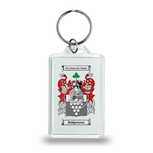 Bridgement Keychain
