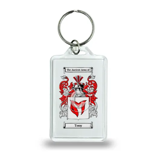 Tony Keychain