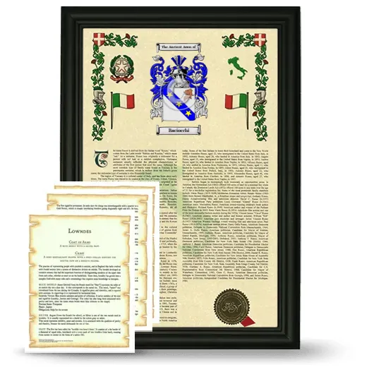 Baciocchi Framed Armorial History and Symbolism - Black