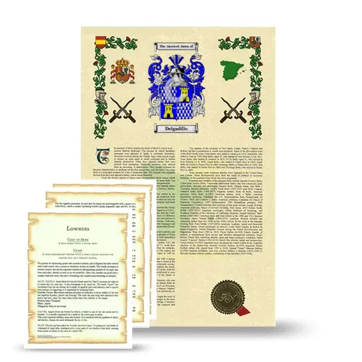 Delgadillo Armorial History and Symbolism package