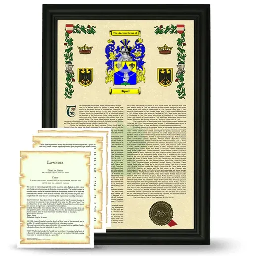 Dipolt Framed Armorial History and Symbolism - Black