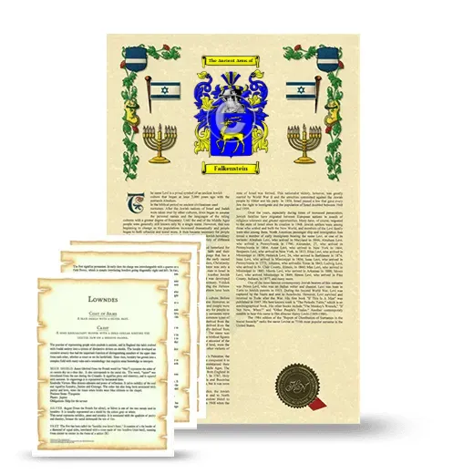 Falkenstein Armorial History and Symbolism package