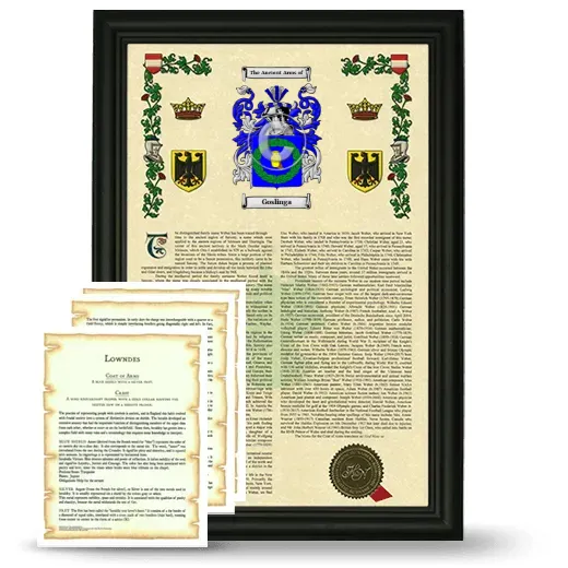 Goslinga Framed Armorial History and Symbolism - Black