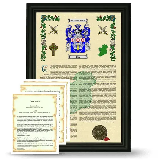 Ilyn Framed Armorial History and Symbolism - Black