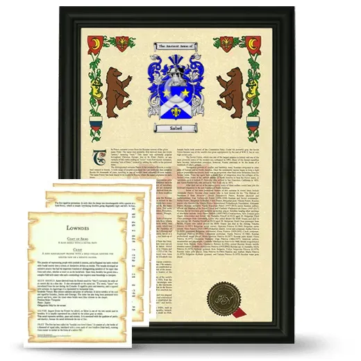 Sabel Framed Armorial History and Symbolism - Black