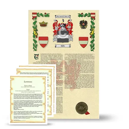 Saltz Armorial History and Symbolism package