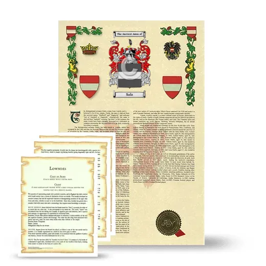 Salz Armorial History and Symbolism package