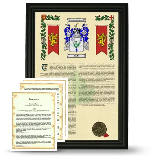 Tisdel Framed Armorial History and Symbolism - Black