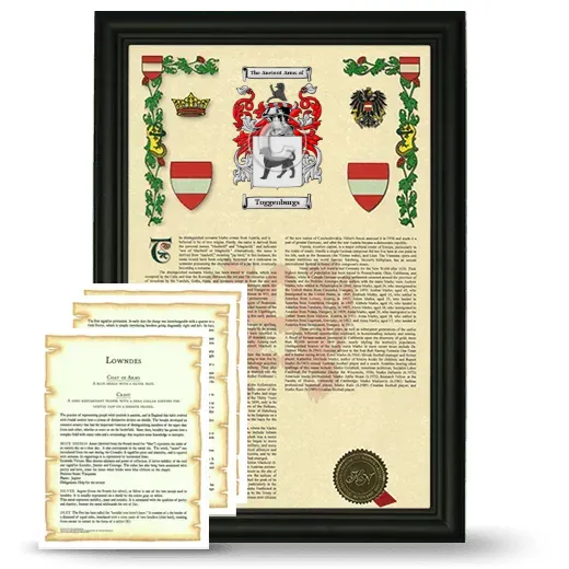 Toggenburgs Framed Armorial History and Symbolism - Black