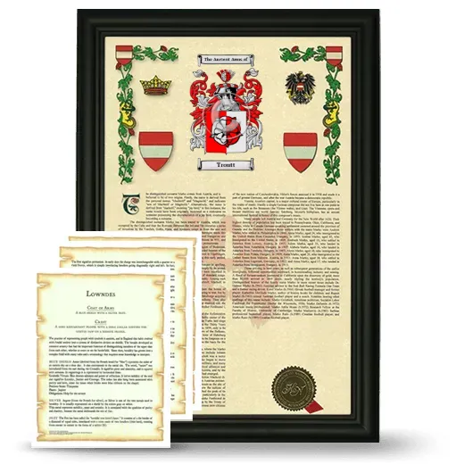Troutt Framed Armorial History and Symbolism - Black