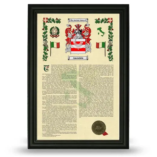 Amendola Armorial History Framed - Black