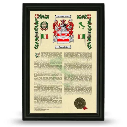 Amendolia Armorial History Framed - Black