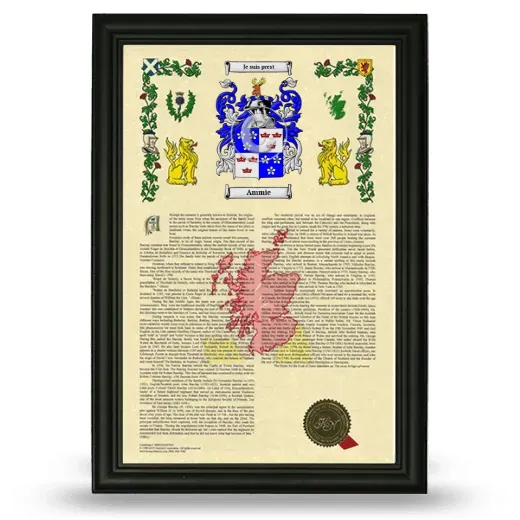 Ammie Armorial History Framed - Black