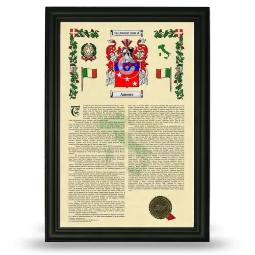 Amoure Armorial History Framed - Black