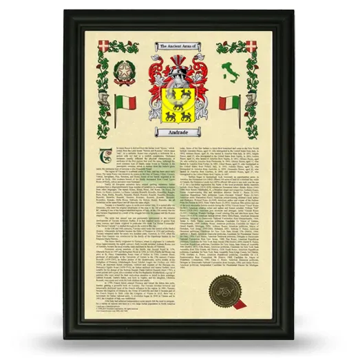 Andrade Armorial History Framed - Black