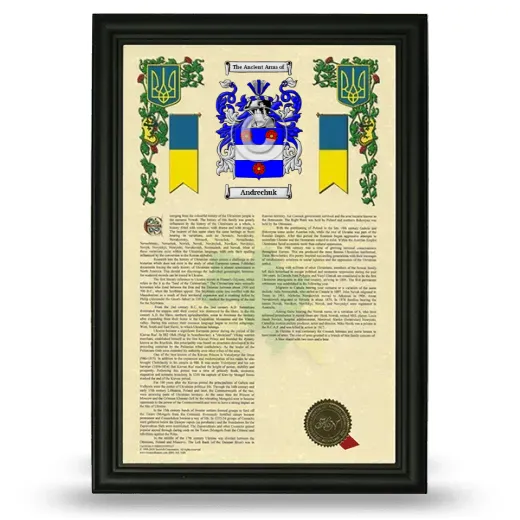 Andrechuk Armorial History Framed - Black