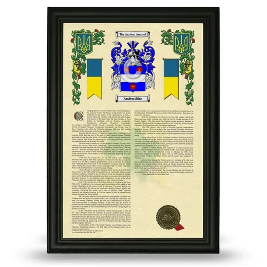 Andrushko Armorial History Framed - Black