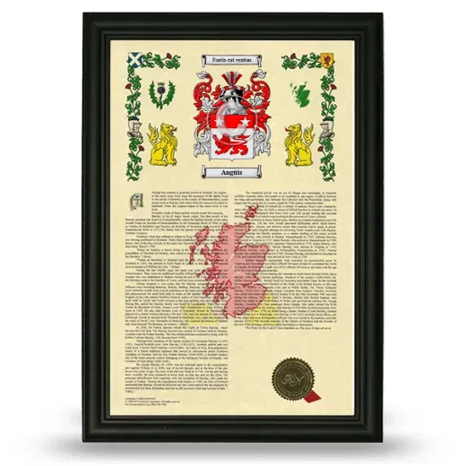 Angüis Armorial History Framed - Black
