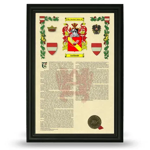Anthonie Armorial History Framed - Black