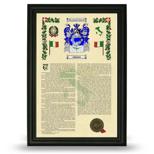 Antunes Armorial History Framed - Black