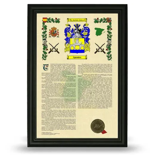 Apontes Armorial History Framed - Black