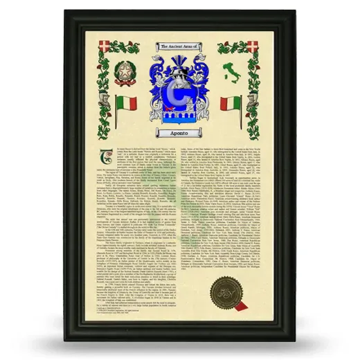 Aponto Armorial History Framed - Black