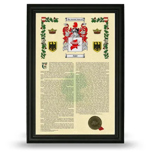 Auer Armorial History Framed - Black