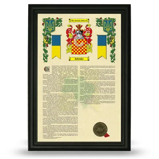 Babenko Armorial History Framed - Black