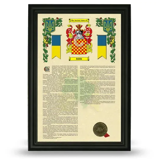 Babik Armorial History Framed - Black