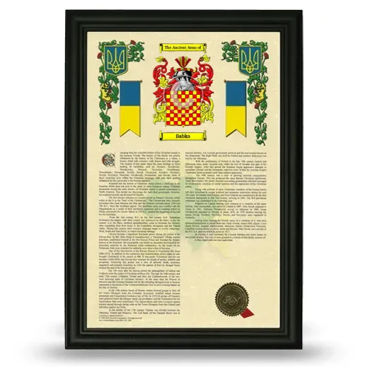 Babka Armorial History Framed - Black