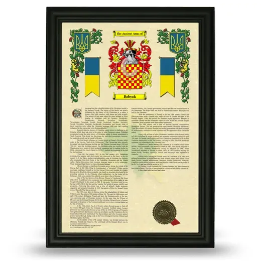 Babyak Armorial History Framed - Black