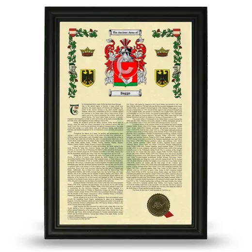 Bagge Armorial History Framed - Black