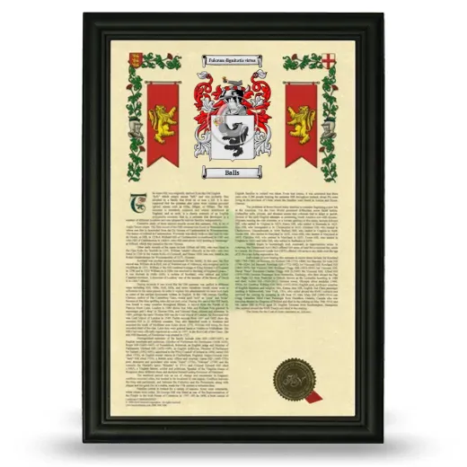 Balls Armorial History Framed - Black